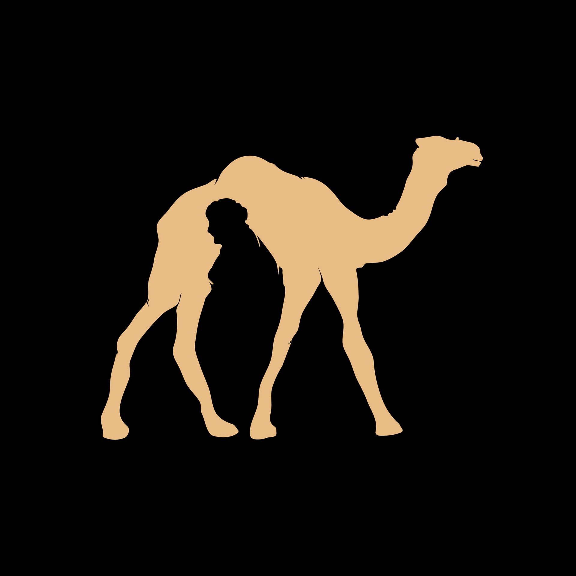 Camel silhouette with a man cut into it, facing the opposite way